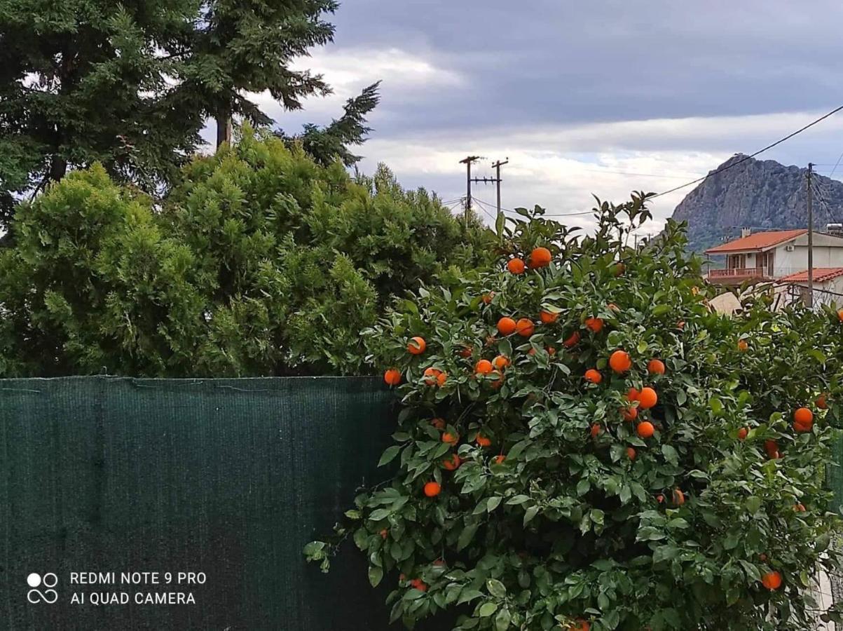Nafplio Breeze Άνετη Διώροφη Κατοικία Από 4 Έως 9 Επισκέπτες Bagian luar foto